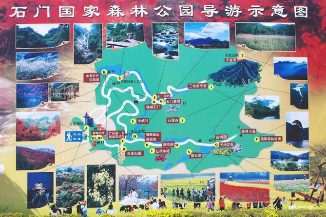 ʯ�T��(gu��)��ɭ�ֹ��@��(d��o)�ΈD