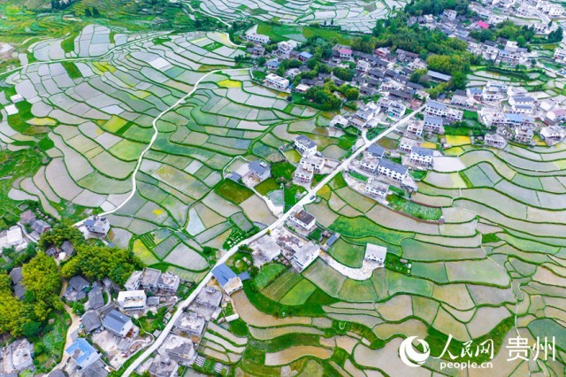 �����F��л�Ϫ�^(q��)��������������W(w��ng)ӛ�� Ϳ���z